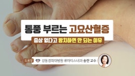 통풍 부르는 고요산혈증 증상 없다고 방치하면 안 되는 이유 - kakaoTV 통풍 부르는 고요산혈증 증상 없다고 방치하면 안 되는 이유