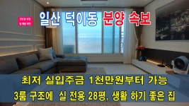 💕 일산 덕이동 실전용 28평 최저 실입주금 1천만원부터 가능 현장... 일산 덕이동 실전용 28평 최저 실입주금 1천만원부터 가능 현장... 