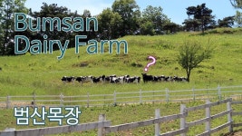 강원도 횡성 여행 - 범산목장에서 힐링하기 - kakaoTV 강원도 횡성 여행 - 범산목장에서 힐링하기