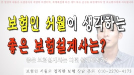 보험인 서월이 생각하는 좋은 보험설계사는? - kakaoTV 보험인 서월이 생각하는 좋은 보험설계사는?