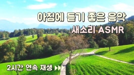 아침에 듣기 좋은 음악 🎵 명상, 요가, 힐링, 새소리 asmr, 수면, 태교, 치유, 스트레스 해소 - kakaoTV 아침에 듣기 좋은 음악 🎵 명상, 요가... 