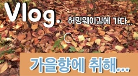 브이로그|가을편|허밍웨이길에 가다... - kakaoTV 브이로그|가을편|허밍웨이길에 가다...