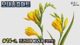 프리지아 그리기 (꽃드로잉 - 꽃그림 기초강좌) 색연필꽃그림 - kakaoTV [보태니컬아트] #14-2. 프리지아 그리기 (꽃드로잉 - 꽃그림 기초강좌)... 