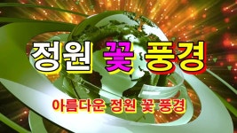 용천 정원꽃풍경 - kakaoTV 용천 정원꽃풍경