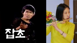 나훈아, 잡초 - 왕성자 플룻 연주 노래방 반주 - 부산 플루트 앙상블 동호회 학원 입시 추천 강의 - kakaoTV 나훈아, 잡초 - 왕성자 플룻 연주... 