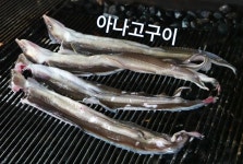 아나고구이 맛집, 태안 태안회센타 - kakaoTV 아나고구이 맛집, 태안 태안회센타