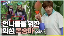 🏃♀🏃♀EP.03 선영이네 복숭아 농장★ 언니들의 라지 건강 복숭아 따기 - kakaoTV 🏃‍♀🏃‍♀EP.03 선영이네 복숭아 농장★ 언니들의... 