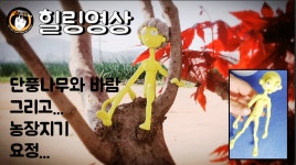 힐링영상/단풍나무와 바람 그리고 농장지기 요정/Healing video - kakaoTV 힐링영상/단풍나무와 바람 그리고 농장지기 요정/Healing video