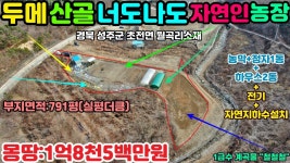 경북성주군초전면월곡리산골자연인땅매매 - kakaoTV NO:1-327번... 성주부동산.성주군공인중개사.경북성주군초전면월곡리산골자연인땅매매