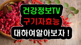 몸에좋은 구기자 효능, 먹는법과 지방간에 좋은 음식 10,차,영양제,약초,약 - kakaoTV 몸에좋은 구기자 효능, 먹는법과 지방간에 좋은 음식 10... 
