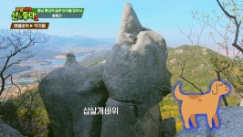 용봉산은 동물농장?![주말여행 산이좋다2 홍성 용봉산편]마운틴TV - kakaoTV 용봉산은 동물농장?![주말여행 산이좋다2 홍성 용봉산편]마운틴TV