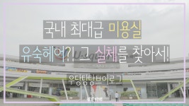 [광주자매] 국내 최대급규모의 터미널 유스퀘어 낱낱이... (브이로그) - kakaoTV [광주자매] 국내 최대급규모의 터미널 유스퀘어 낱낱이... 