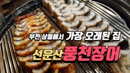 부천 장어, 선운산풍천장어 - kakaoTV 부천 장어, 선운산풍천장어
