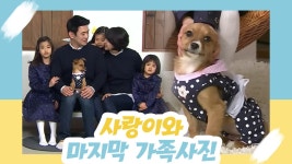 사랑이와 마지막 가족사진 촬영 [오 마이 펫 시즌2] 4회 - kakaoTV 사랑이와 마지막 가족사진 촬영 [오 마이 펫 시즌2] 4회