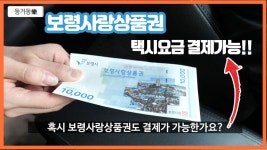 보령사랑상품권 택시요금 결제 가능!! - kakaoTV 보령사랑상품권 택시요금 결제 가능!!