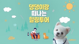 댕댕이랑 올레! 힐링 제주펫투어+_+ - kakaoTV 댕댕이랑 올레! 힐링 제주펫투어+_+