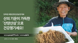 김주완 효평산양산삼농원 대표 인터뷰 - kakaoTV 김주완 효평산양산삼농원 대표 인터뷰