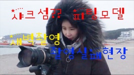 피팅모델 촬영실패현장/새벽촬영/거잠포/일출촬영실패 - kakaoTV 샤크섬?상어가있네?피팅모델 촬영실패현장/새벽촬영/거잠포/일출촬영실패