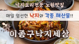 서울특별시 노원구 중계로 맛집 이종구 낙지세상 - kakaoTV 서울특별시 노원구 중계로 맛집 이종구 낙지세상