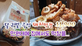 [리뷰] 달구빛즉석 돼지막창 (달구벌명가) 집에서 만원대 가성비 좋은 안주 입니다. - kakaoTV [리뷰] 달구빛즉석 돼지막창 (달구벌명가) 집에서... 
