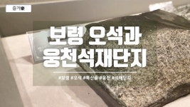 0512 경제활성화 - 웅천석재단지(마스터) - kakaoTV 0512 경제활성화 - 웅천석재단지(마스터)