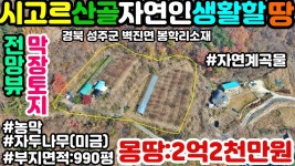 NO:1-458번#성주군땅.성주땅.성주군부동산.성주부동산.성주군공인중개사.경북성주군벽진면봉학리산골자연인땅매매 - kakaoTV NO:1-458번... 