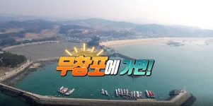 365일 즐거움이 가득한 힐링특별시 보령 무창포에 가면♪♬♪ - kakaoTV 365일 즐거움이 가득한 힐링특별시 보령 무창포에 가면♪♬♪