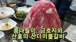 봄나들이, 금호지와 맛집 산홍의 산더미불갈비 - kakaoTV 봄나들이, 금호지와 맛집 산홍의 산더미불갈비