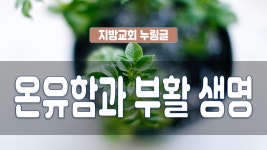 지방교회 누림글 189회 - 온유함과 부활 생명 - kakaoTV 지방교회 누림글 189회 - 온유함과 부활 생명