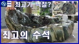 Ep.41수석경매장 최고의수석 명품수석 수석고르는법 수석가격 - kakaoTV 수석경매 최고의 수석 최고가에 낙찰? 유찰? Ep.41수석경매장... 