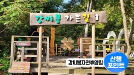 [산행포인트]시(詩)가 있는 숲길, 강씨봉 자연휴양림 - kakaoTV [산행포인트]시(詩)가 있는 숲길, 강씨봉 자연휴양림