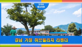 경남 거창 허브빌리지 라벤더 lavender - kakaoTV 경남 거창 허브빌리지 라벤더 lavender