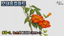 능소화 그리기 (꽃드로잉 - 꽃그림 기초강좌) 색연필꽃그림 - kakaoTV [보태니컬아트] #8-3. 능소화 그리기 (꽃드로잉 - 꽃그림 기초강좌)... 