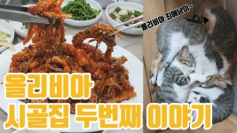 [여행]시골집ㅡ두번째 이야기 ( 아기고양이 /시골풍경 /가을메이크업 /낙지초무침 / 먹방 ) - kakaoTV [여행]시골집ㅡ두번째 이야기 ( 아기고양이... 
