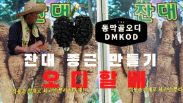 2020-04-14잔대심기 잔대종근만들기 - kakaoTV 2020-04-14잔대심기 잔대종근만들기