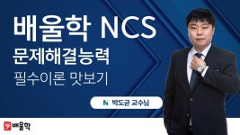 [배울학 NCS] 문제해결능력 필수이론 맛보기 강의│박도균 교수님 - kakaoTV [배울학 NCS] 문제해결능력 필수이론 맛보기 강의│박도균 교수님
