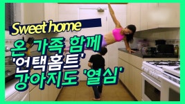 온가족 언택 홈트 스위트홈 … 강아지도 팔굽혀펴기 으쌰... 강아지도 팔굽혀펴기 으쌰 (Mommy Fitness)| cbcworld