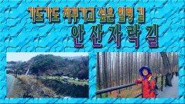 가도가도 자꾸 가고 싶은 힐링 길 안산 자락길 - kakaoTV 가도가도 자꾸 가고 싶은 힐링 길 안산 자락길