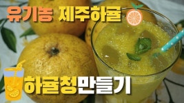 하귤청만들기/제주의 여름귤 하귤을 소개합니다. - kakaoTV 하귤청만들기/제주의 여름귤 하귤을 소개합니다.