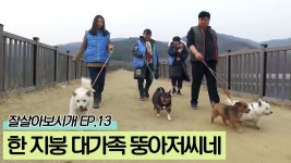 한 지붕 대가족 뚱아저씨네 [잘살아보시개 시즌2] 13회 - kakaoTV 한 지붕 대가족 뚱아저씨네 [잘살아보시개 시즌2] 13회