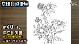 루드베키아(Coneflower) 그리기 (꽃드로잉 - 꽃그림 기초강좌) - kakaoTV [꽃그림/보태니컬아트] #40-1. 루드베키아(Coneflower) 그리기... 
