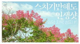 찜통 더위 속 시원한 감성 차박..밀양 금시당 유원지 [feat. 뭉게구름] - kakaoTV 찜통 더위 속 시원한 감성 차박..밀양 금시당 유원지 [feat.... 