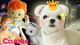 [강아지는 내 친구] 키키와 함께하는 도전 99초 - kakaoTV [강아지는 내 친구] 키키와 함께하는 도전 99초