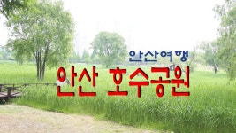 안산 호수공원의 아침 - kakaoTV 안산 호수공원의 아침