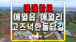 #제주시_애월읍_애월리_고즈넉한 돌담길 사이로 펼쳐질 풍경 - kakaoTV #제주시_애월읍_애월리_고즈넉한 돌담길 사이로 펼쳐질 풍경