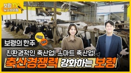 스마트 축산업! 축산경쟁력 강화하는 보령 - kakaoTV 뉴스브리핑 | 친환경적인 축산업! 스마트 축산업! 축산경쟁력 강화하는 보령