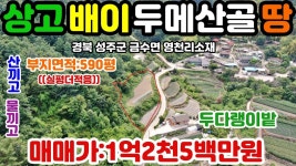 NO:1-389번#성주군땅.성주땅.성주군부동산.성주부동산.성주군공인중개사.경북성주군금수면영천리산골농장용지매매 - kakaoTV NO:1-389번... 