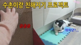 수촌이랑 친하게 지내려고 조공을 바쳤습니다 - kakaoTV 수촌이랑 친하게 지내려고 조공을 바쳤습니다