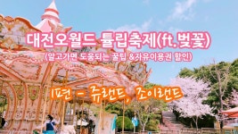 대전오월드 튤립축제(자유이용권 할인 및 유용한 정보) 1편 - kakaoTV 대전오월드 튤립축제(자유이용권 할인 및 유용한 정보) 1편
