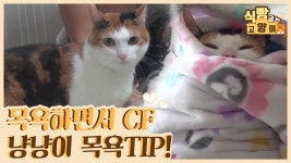 목욕하면서 CF 찍는 냥냥이, 목욕 팁 공개! [식빵굽는 고양이] 1회 - kakaoTV 목욕하면서 CF 찍는 냥냥이, 목욕 팁 공개! [식빵굽는 고양이] 1회